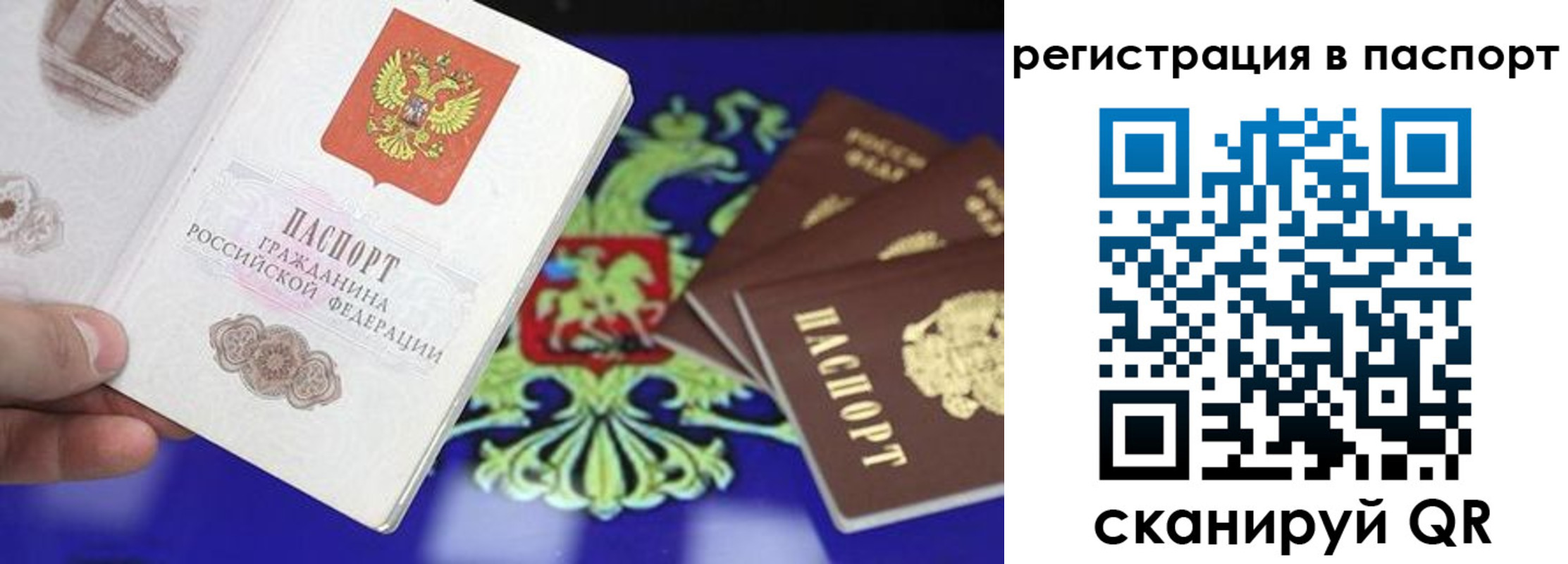 прописка для школы в Липецке